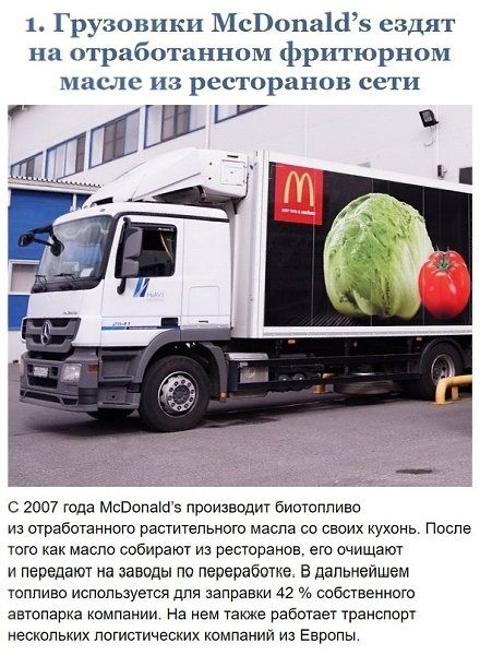 Примеры в борьбе за чистоту планеты, которые вдохновляют