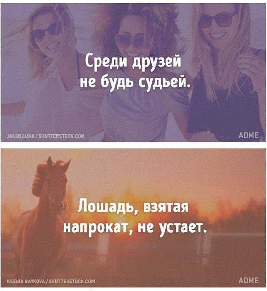 Мудрость португальского народа, проверенная годами: - 6