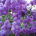 ���� ����, ����� - ��������� 26 ���� 2019 � ������ ���� ����������