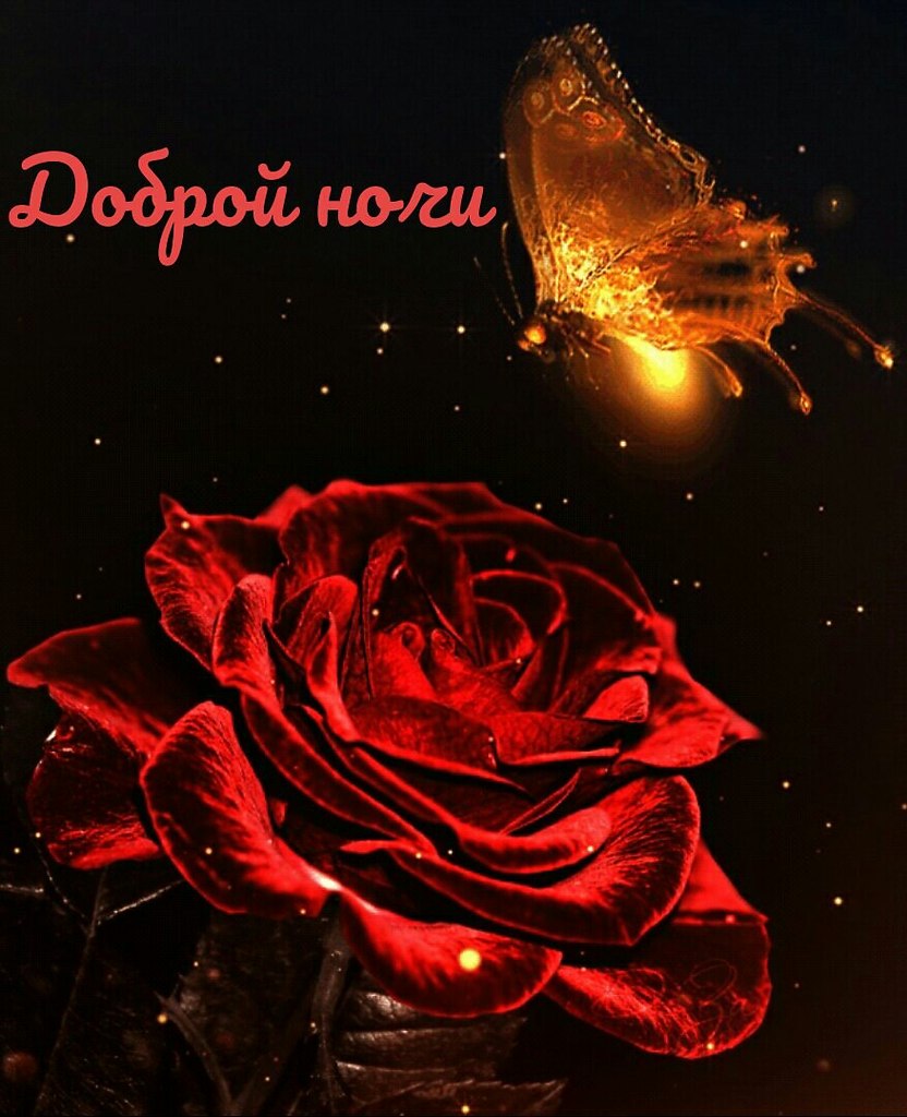   ,    . - 30  2019  21:31