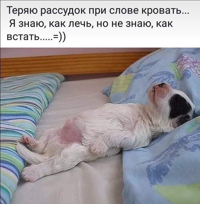 )))