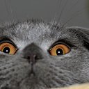���� �����, ������ - ��������� 4 ������ 2019 � ������ ���� ����������