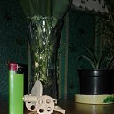 ���� ��������, ���������, 53 ���� - ��������� 6 ���� 2019 � ������ ���� ����������