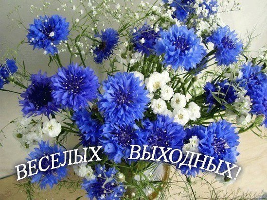 ����������� � ���������, �������� �� ������ ����. - 23 ������ 2019 � 21:12