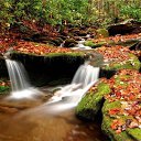 ���� ����, �����������, 63 ���� - ��������� 19 ��� 2019 � ������ ������ ��������