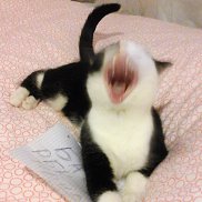 Евгения, 39 лет, Нижний Новгород Евгения, 39 лет, Нижний Новгород