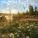 ���� ����, ������, 71 ��� - ��������� 17 ���� 2019 � ������ ���� ����������