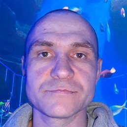 ���� ���������, �����������, 48 ��� - ��������� 26 ������ 2019