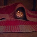 ���� �����, ������, 48 ��� - ��������� 19 ������� 2019 � ������ ������ ��������