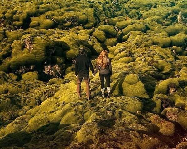 Молодая пара решила вместо стандартной свадьбы уехать с фотографом в Исландию. На деньги, которые бы ... - 6