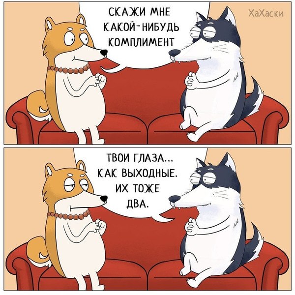 ���� �������� ��������!