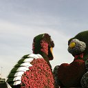 ���� �������, ��������� - ��������� 27 ������� 2019 � ������ ����� ������ ����ɻ