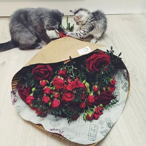 Совершенно необязательно делать великие вещи. Можно делать и маленькие, но с великой любовью.