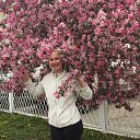 ���� ������, �����-���������, 60 ��� - ��������� 14 ��� 2019 � ������ ���� ����������