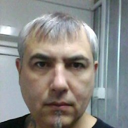 �������, ����, 38 ���