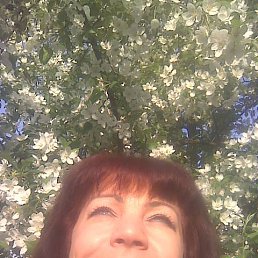 ����, �����, 59 ���