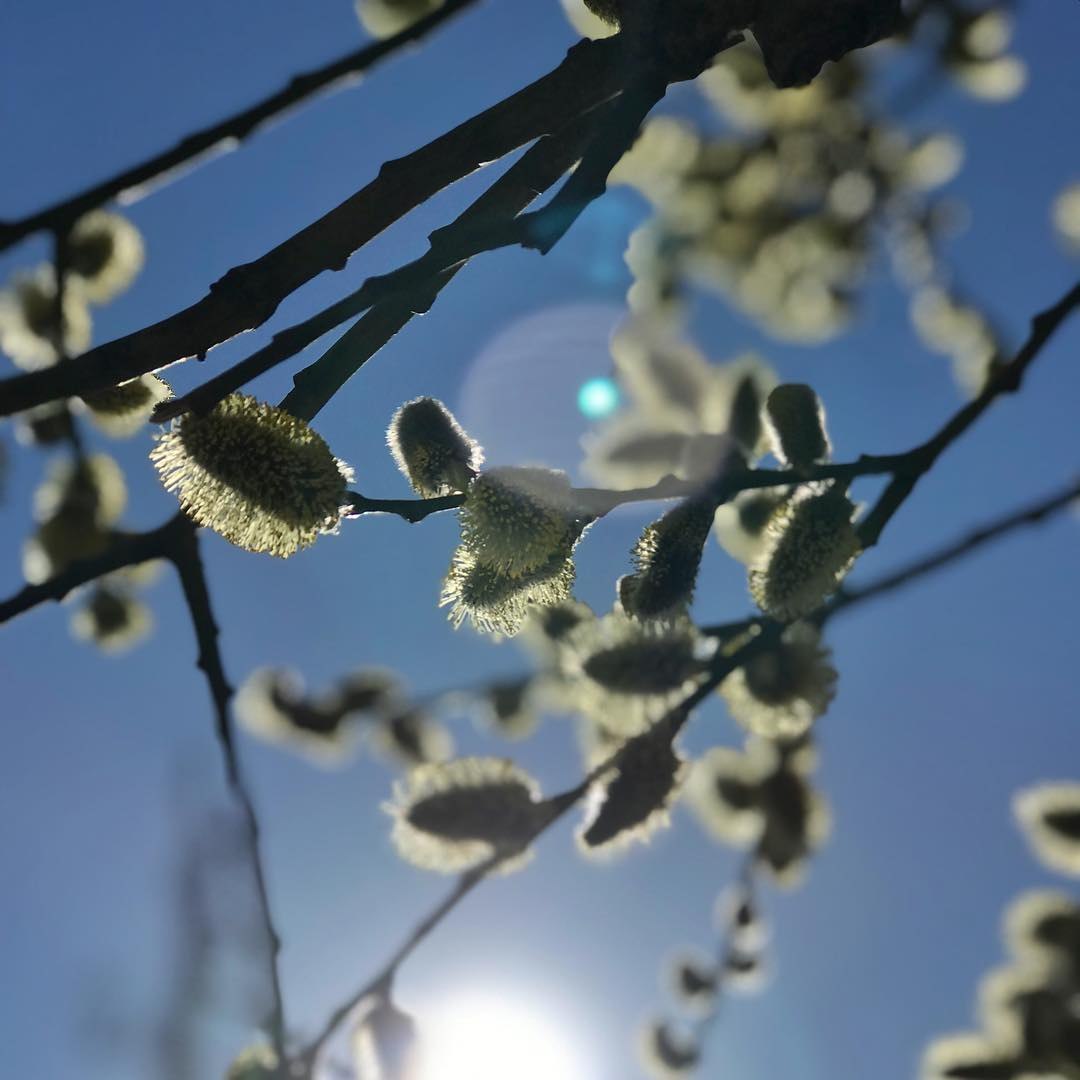  - 6  2019  13:39