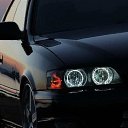 ���� ��������, ����� - ��������� 25 ���� 2019 � ������ ���� ����������