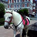 ���� Vladimir, ����������� - ��������� 6 ������� 2019