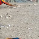 ���� V/a., ���-���� - ��������� 24 ������� 2019 � ������ ������ ��������