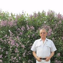 ���������, �����, 75 ���