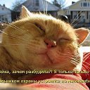 ���� Grus, �������� - ��������� 21 ������ 2019 � ������ ��������