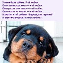 ���� ����� ������, ������ ��������, 48 ��� - ��������� 26 ���� 2019 � ������ ������ ��������