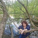  , -, 53  -  14  2019    