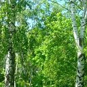 ���� ���������, ��, 64 ���� - ��������� 15 ��� 2019 � ������ ������ ��������