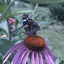 ���� �����, �����, 55 ��� - ��������� 12 ��� 2019 � ������ ���� ����������