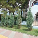 ���� ������, ����������� - ��������� 16 ������� 2019 � ������ ������ � ���������