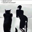 ���� �������, �������, 56 ��� - ��������� 30 ������ 2019