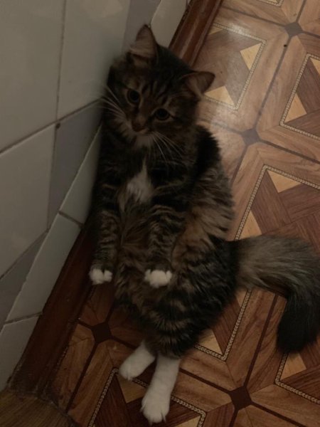 #_.       , , ,  ... - 2