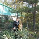 ���� �����, ���������, 62 ���� - ��������� 12 ������� 2019