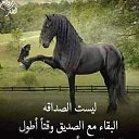���� Essam, �������, 46 ��� - ��������� 15 �������� 2019 � ������ ���� ����������