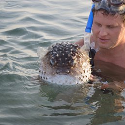 Ը���, ��������, 52 ����