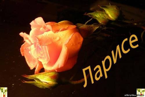   ,    . - 18  2019  10:29 - 6