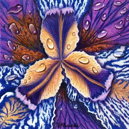 ��������, ������, 46 ���