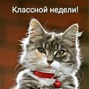 ���� �����, �������������� - ��������� 24 ������� 2019 � ������ ������ ��������