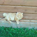 ���� Stanislawa, �����������, 45 ��� - ��������� 6 ������ 2019 � ������ �������