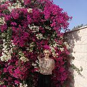 ���� �����, ����� - ��������� 1 ������� 2019