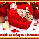 ���� ����, ���������, 40 ��� - ��������� 26 ���� 2019 � ������ ���� ����������
