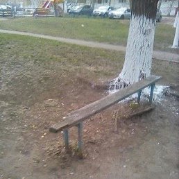 ����, ������, 36 ���