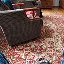 ���� Alex, �����, 50 ��� - ��������� 20 ��� 2019