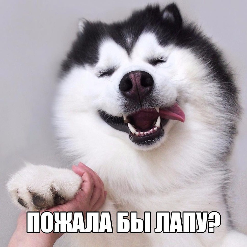   - 11  2019  03:37