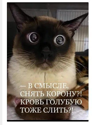 ������ �� ���... - 26 ������� 2019 � 01:57