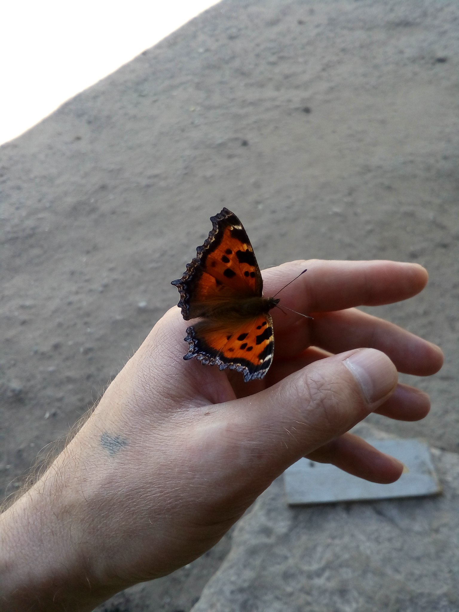 ������ - 26 ���� 2019 � 22:16