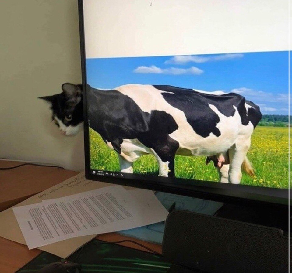 - �������, ��� �� ����, ��� �����������?!))