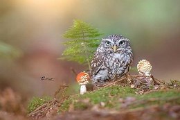  Tanja Brandt - 2