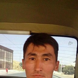 ������, �������, 36 ���